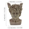 Darware Mini Resin Medusa / Athena / Perseus Planter, 3pc Set; Garden Decor Statue Flower Pot - 3 of 4
