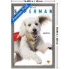 Trends International DC Comics Superman (2025) - Krypto Feature Series Framed Wall Poster Prints - 3 of 4