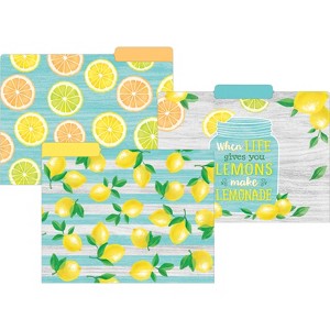 Teacher Created Resources® Lemon Zest Letter-Sized File Folders, Pack of 12 - 1 of 1