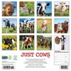 Willow Creek Press Cow's 2025 Wall Calendar: Monthly 12x12 Inch Paper, Blue, All Ages, Sewn Binding - 2 of 4