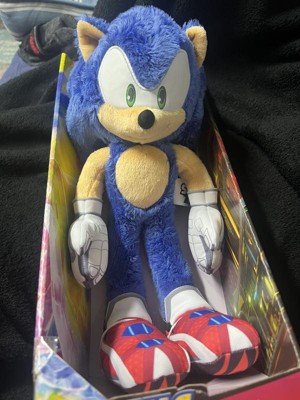 Sonic The Hedgehog Sonic Prime 13 inch Plush Figure Doll Stuffed Animal :  Toys & Games 