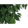 Monarch Specialties Artificial Plant 58 inch Tall Ficus Tree Indoor Faux Fake Floor Greenery Potted Decorative Green Leaves Black Pot - 4 of 4