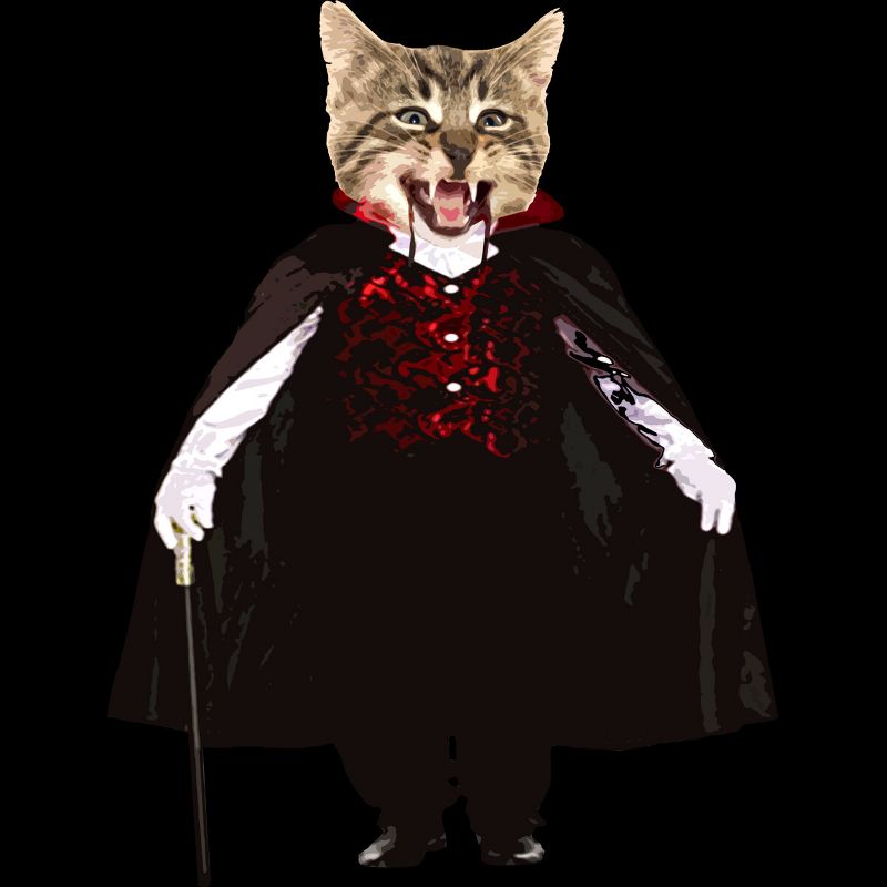 Girl's Design By Humans Catcula Cat Kitten Dracula Cute Funny Halloween t shirt By JOHANNESART T-Shirt, 2 of 4