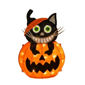 23" Pre-Lit Pumpkin and Black Cat - 1 of 4