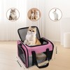 Unique Bargains Breathable Mesh Design Pet Carrier 1 Pc - 3 of 4