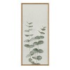 Kate and Laurel Sylvie Eucalyptus Botanical II Framed Canvas by The Creative Bunch Studio - image 2 of 4