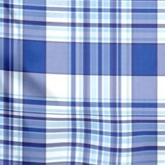 royal blue plaid