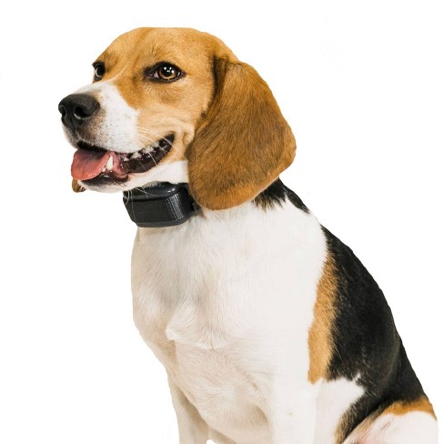 Automatic Anti Bark Collar, Waterproof Anti-Bark Collar, Suitable for Large  Dogs, Medium Dogs, Small Dogs 
