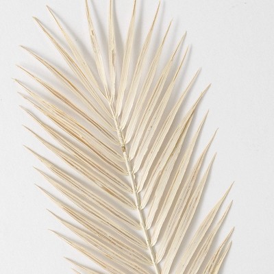 Off-White Faux Dried Fern Stem 34"