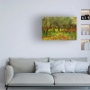 Trademark Fine Art - Caroyl La Barge Poppies in Olive Orchard, Sicily Canvas Art - image 2 of 4