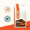 Bulletproof Original Medium Roast Ground Coffee -12oz - image 4 of 4