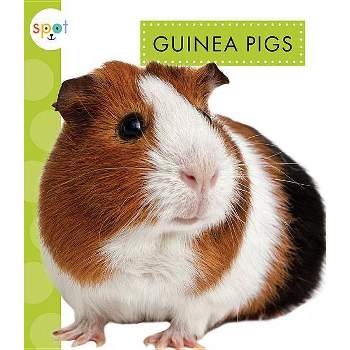 Guinea Pigs - (Spot Pets) by  Mari C Schuh (Paperback)