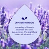 Dropps Laundry Odor & Stain Biobased Detergent Pods - Lavender Meadows - 40ct/12.6oz - 4 of 4