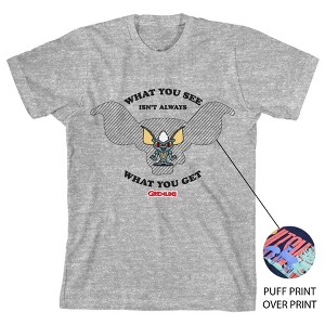 Gremlins What You See Isn't Always What You Get Boy's Heather Grey T-shirt - 1 of 1