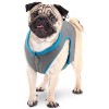 ALllforpaws Dog Cooling Vest Lightweight with Adjustable Buckle for Summer Walking, Hunting and Camping. - 3 of 4