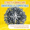 Strictly Briks Classic Flat Bricks Starter Kit, Gray, 288 Pieces, 1x2 Inches, 100% Compatible with All Major Brick Brands - 4 of 4