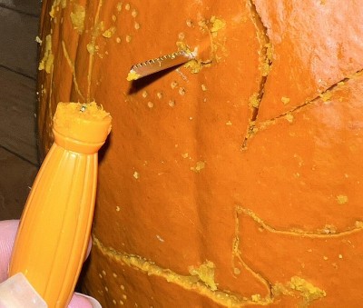 Guest review image 2 of 2, zoom in