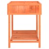 vidaXL Herb Planter 31.5"x23.6"x31.5" Solid Firwood - 4 of 4