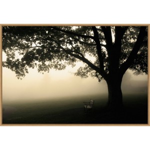 Amanti Art 33" x 23" Shenandoah by Andy Magee Framed Canvas Wall Art Print : Landscape, Framed Tree Art - 1 of 4