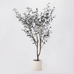 76.5"x 30" Artificial Olive Tree in Ceramic Pot - Threshold™ designed with Studio McGee: Indoor Faux Plant Decor, No Assembly Required
