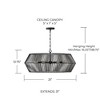 Capital Lighting Kaiya 6 - Light Chandelier in  Matte Black - 4 of 4