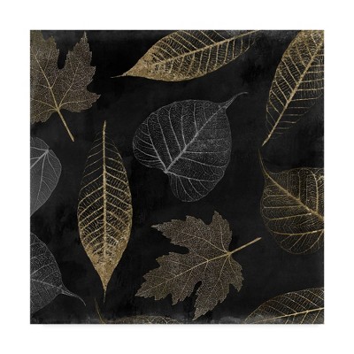 18" x 18" Autumn Gold Black Background by Color Bakery - Trademark Fine Art