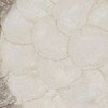 Saro Lifestyle Capiz Glow Placemat (Set of 4) - 4 of 4