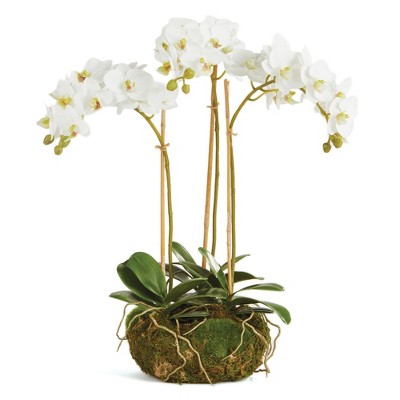 Plum & Post Phalaenopsis Orchid Faux (Fake) Mini Garden Drop-In 16"