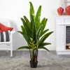 Nearly Natural 4.5-ft Travelers Palm Artificial Tree - 2 of 2