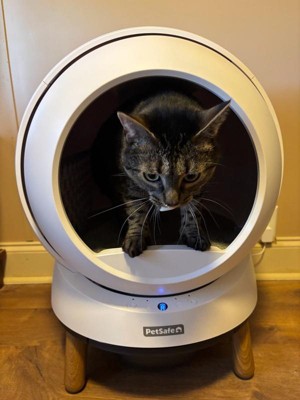 Guest review image 3 of 3, zoom in