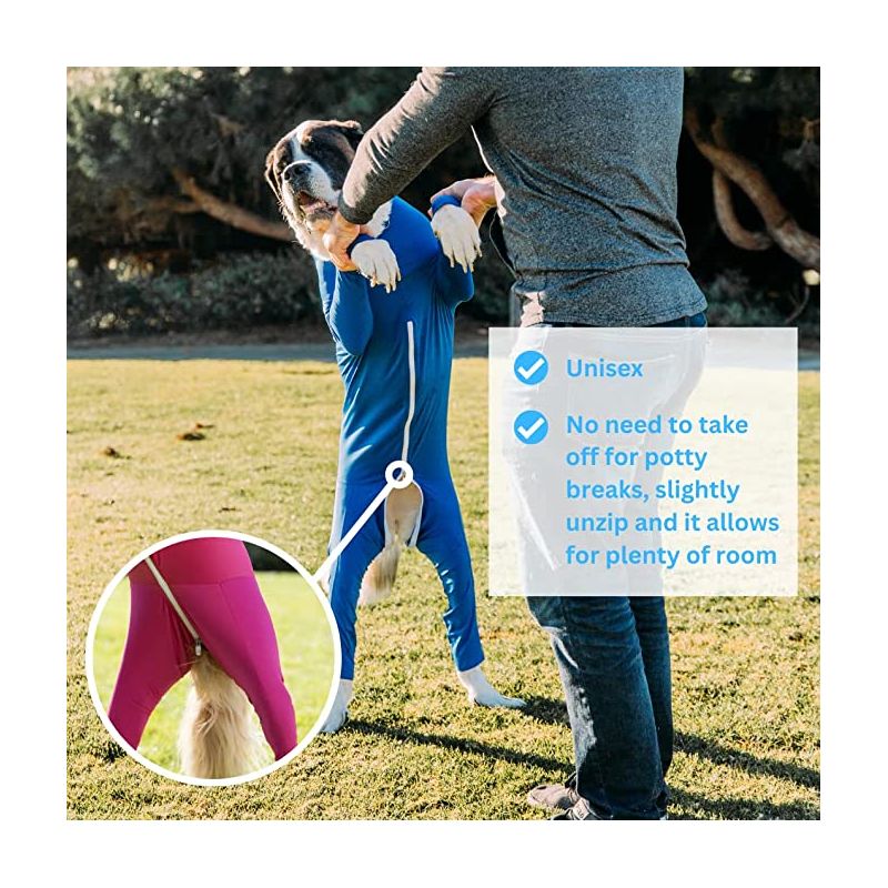 Shed Defender Original Dog Onesie - Contains Shedding, Reduces Anxiety, Post-Surgery Recovery Suit, 3 of 7