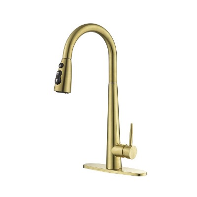 Chery Life Kitchen Faucet with Pull Down Sprayer, Gold