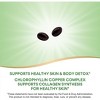 Nature's Way Chlorofresh Softgels, 90 Ct - 3 of 4