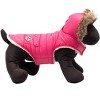 The Worthy Dog Park City Puffer Hoodie Jacket - 3 of 3
