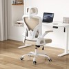Infurnic Task and Office Chairs, Ergonomic Office Chair with Adjustable Lumbar Support and Armrests, for Home and Office, Brown, 23.43"*23.43"*56.69" - 2 of 4