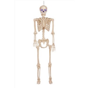Seasons - LED Skeleton Halloween Decor - Multicolored - 60 in. - 1 of 1