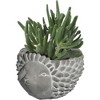 Classic Home and Garden Cement Buddies Indoor/Outdoor Planter with Drainage Hole, Hedgehog - 3 of 4