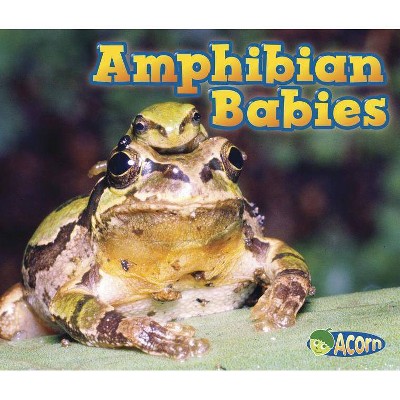 Amphibian Babies - (Animal Babies) by  Catherine Veitch (Paperback)