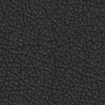 tampa bay buccaneers