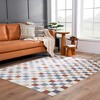 Hauteloom Alie Gray Checkered Washable Area Rug - 2 of 4