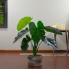 Northlight Artificial Taro Potted Plant - 40" - Green - 2 of 4