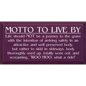 Slickblue Inspirational Wood Wall Sign – Life Is A Ride Quote – Rustic Decor Accent – 9x18 Inches, Multi Color Options - 1 of 3
