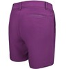 Snake Eyes Golf Ladies Stretch Woven Short - 2 of 2