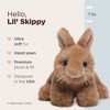 Bearington Lil' Skippy The Stuffed Bunny Plush, 7 Inch Stuffed Bunnies for Easter - 2 of 4
