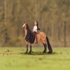 Breyer Animal Creations Breyer 1:12 Classics Spirit Riding Free Spirit & Lucky Model Horse Set - 4 of 4