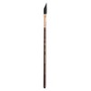 Princeton Neptune Dagger Brush, Synthetic Bristles, Short Handle Watercolor Paintbrush, Dark Wood, Size 1/4 inch, Pack of 2 - 2 of 4