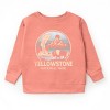 Yellowstone National Park Two-Toned Circle - Youth Graphic Sweatshirt - 2 of 4