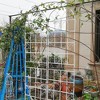 4 Pack 86.7x19.7in Metal Garden Trellis for Climbing Plants Outdoor Plant Support Iron Fence Trellis for Vines Plant Roses Vegetable Support White - 2 of 4