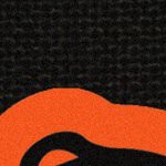 baltimore orioles