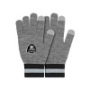 NFL Las Vegas Raiders Gray Big Logo Glove: Adult Knit Team Mittens - 2 of 4